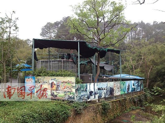 欽州有意建50畝動物園 已有投資商表達投資意向