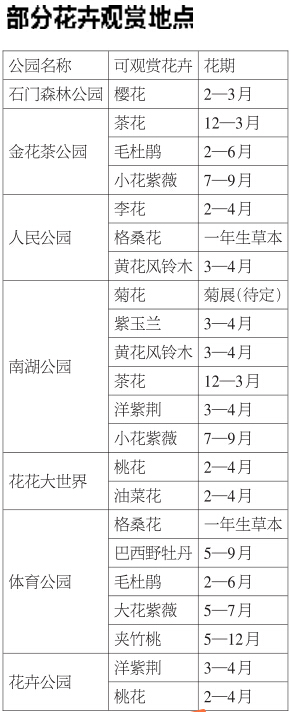市區(qū)可賞花縣區(qū)有花海 “花樣南寧”吸引游客逐香來