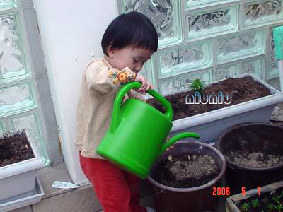 德國(guó)“小妞”的幸福生活