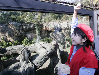 日本動(dòng)物園立春前為猩猩撒豆祈福多育后代