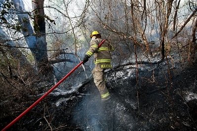 美國數州遭野火和龍卷風襲擊 百余人傷亡