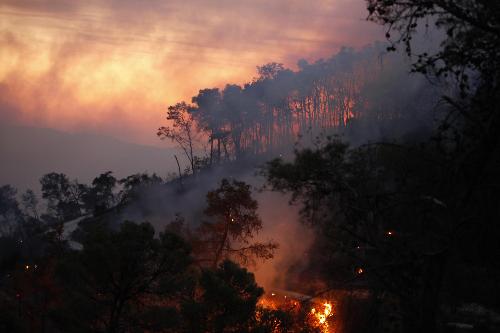 以色列北部發生山火約40人死亡 呼吁多國援助