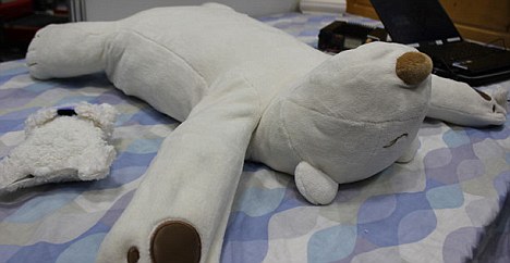 日本發(fā)明對付打鼾機器熊枕 聲音過響可干預(yù)睡姿
