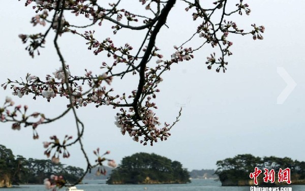 日本三大景點(diǎn)之一：松島海域