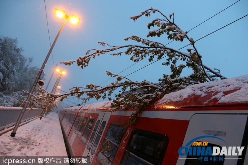 德國(guó)巴伐利亞大雪成災(zāi) 鐵路交通陷于癱瘓（圖）