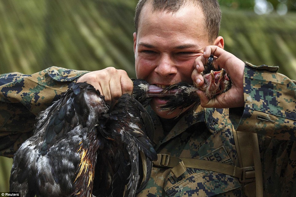 美國海軍陸戰隊生存訓練:喝蛇血、吃蝎子