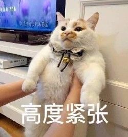 美國(guó)人有多愛夸人？居然飆車過來夸我鞋子美？？？