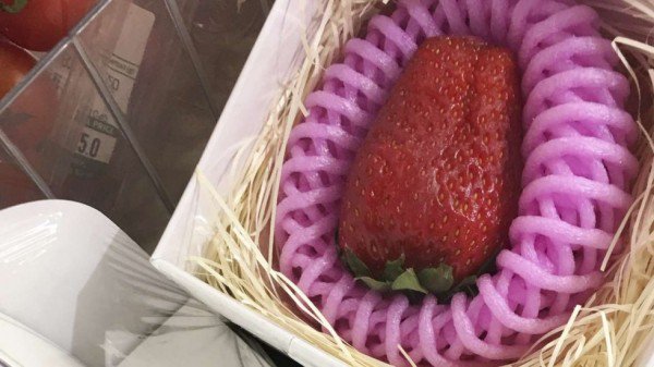 這種草莓150元一顆，一定很好吃……吧？