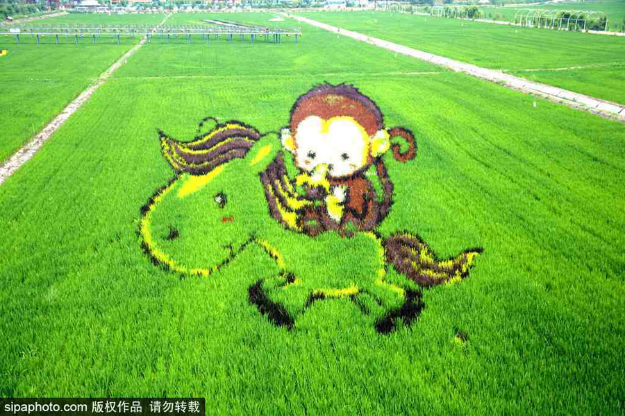 春回大地草木萌動 盤點那些農田光景返樸歸真（組圖）