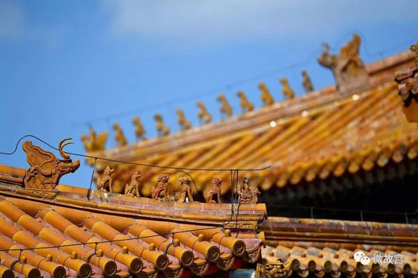 習(xí)近平特朗普同游故宮！那些讓特朗普驚嘆的殿、樓、齋，用英文怎么說？
