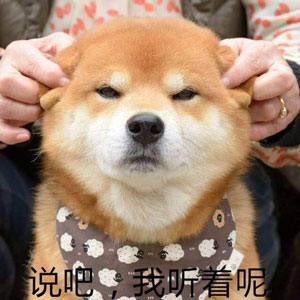 如何高級又委婉地表達“你很蠢”？