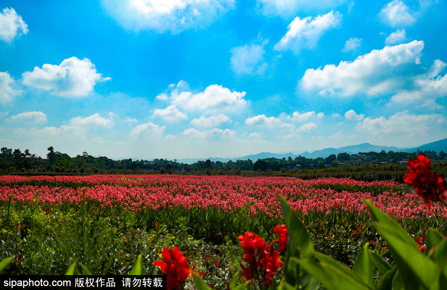 藍(lán)天白云刷屏！盤點風(fēng)清日朗的絕美風(fēng)光 為眼睛降溫